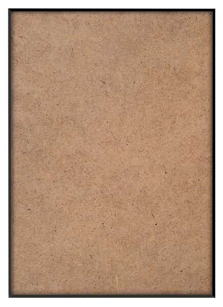 Obraz 50x70 cm Diva – Styler