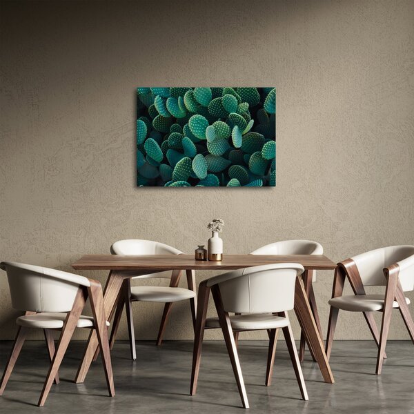 Obraz - Opuncja (70x50 cm)