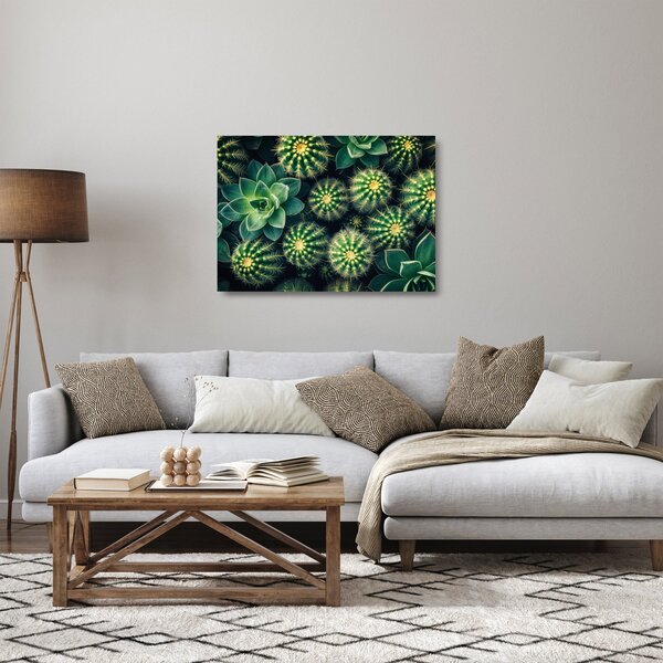 Obraz na szkle - Kaktusy (70x50 cm)
