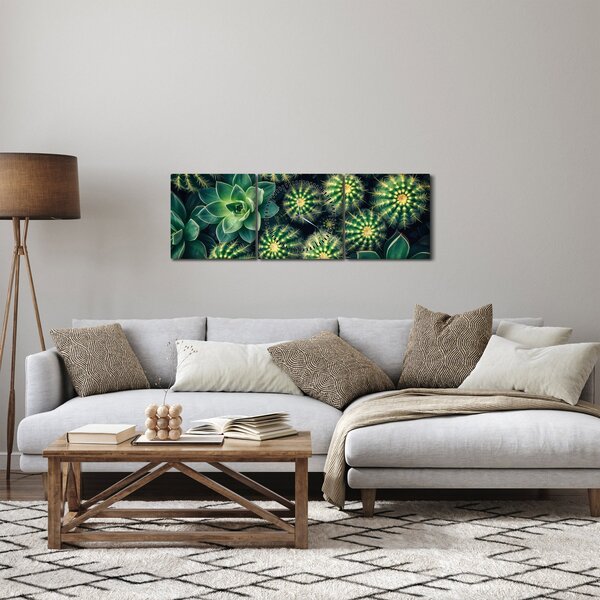 Obraz - Kaktusy (z zegarem) (90x30 cm)