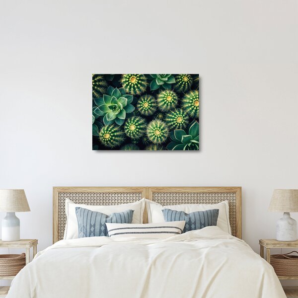 Obraz na szkle - Kaktusy (70x50 cm)