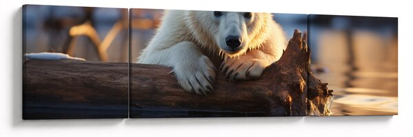 Obraz - Niedźwiedź polarny (170x50 cm)
