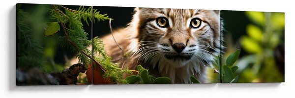 Obraz - Rysunek (170x50 cm)