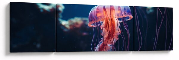 Obraz - Meduza (170x50 cm)