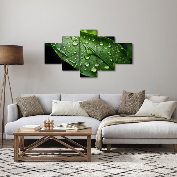 Obraz - Liść po deszczu (125x70 cm)