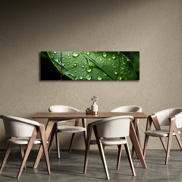Obraz - Liść po deszczu (170x50 cm)