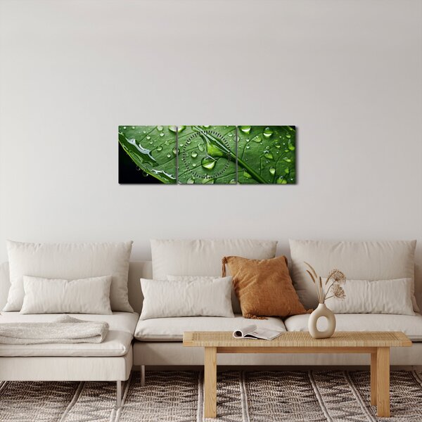 Obraz - Liść po deszczu (z zegarem) (90x30 cm)