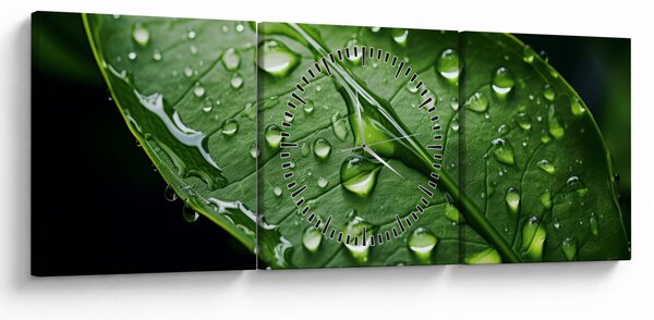 Obraz - Liść po deszczu (z zegarem) (90x30 cm)