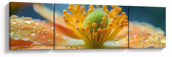 Obraz - Szczegół kwiatu (170x50 cm)