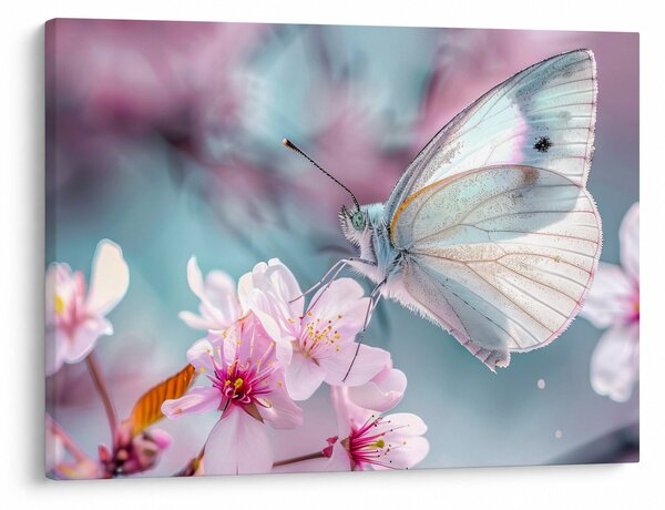 Obraz - Motyl na drzewie wiśni (70x50 cm)