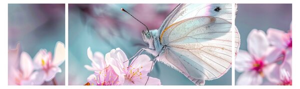 Obraz - Motyl na drzewie wiśni (170x50 cm)