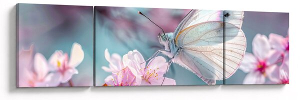 Obraz - Motyl na drzewie wiśni (170x50 cm)