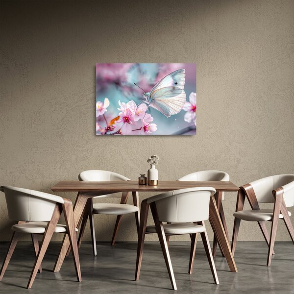 Obraz na szkle - Motyl na drzewie wiśni (70x50 cm)