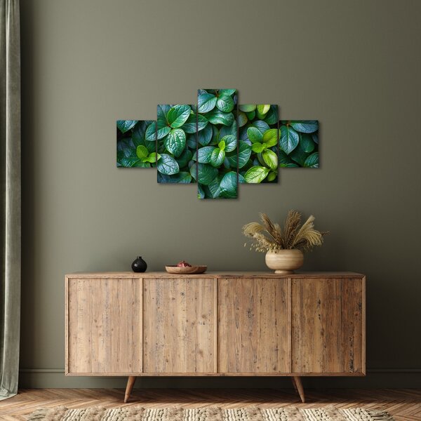 Obraz - Rośliny zielone (125x70 cm)