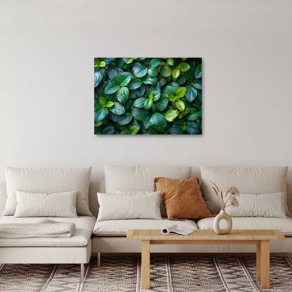Obraz - Rośliny zielone (70x50 cm)