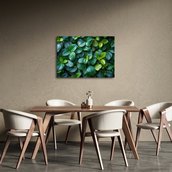 Obraz - Rośliny zielone (70x50 cm)