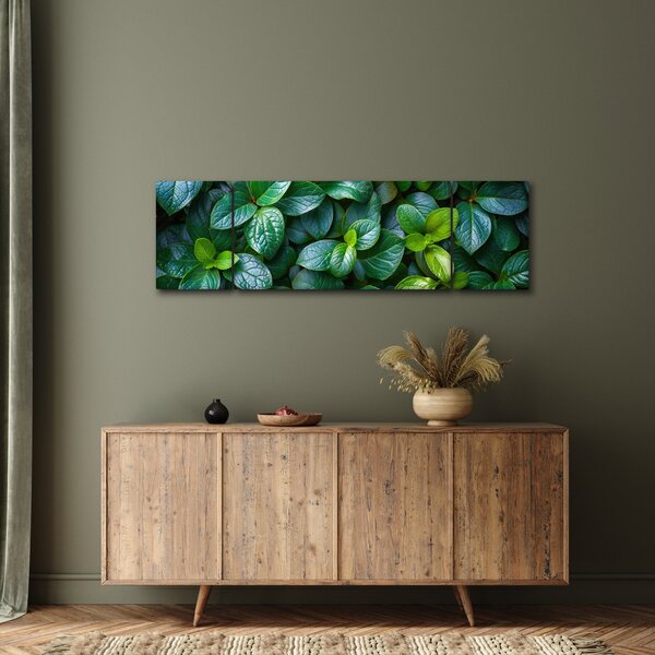 Obraz - Rośliny zielone (170x50 cm)