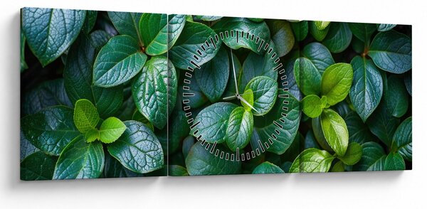 Obraz - Rośliny zielone (z zegarem) (90x30 cm)