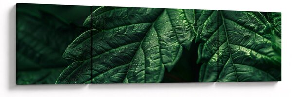 Obraz - Szczegół arkusza (170x50 cm)