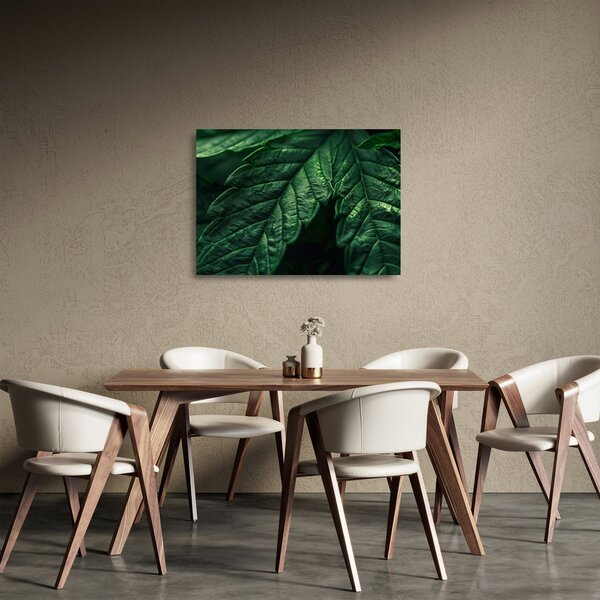 Obraz na szkle - Szczegół arkusza (70x50 cm)