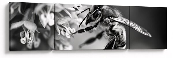 Obraz - Szczegół pszczoły (170x50 cm)