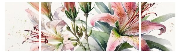 Obraz - Lilie, ilustracje (170x50 cm)