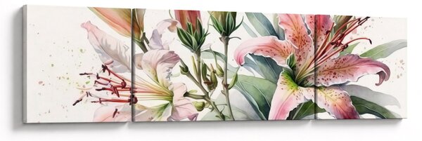 Obraz - Lilie, ilustracje (170x50 cm)