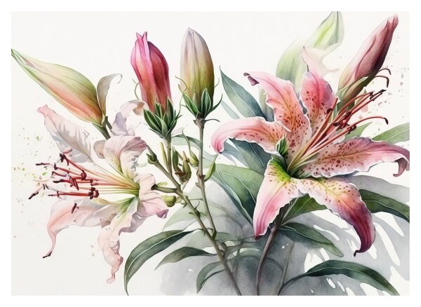 Obraz - Lilie, ilustracje (70x50 cm)
