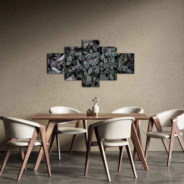 Obraz - Zamrożone rośliny (125x70 cm)