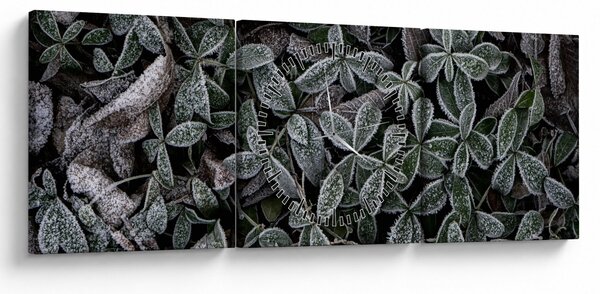 Obraz - Zamrożone rośliny (z zegarem) (90x30 cm)