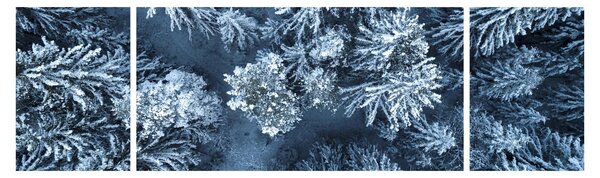 Obraz - Śnieżny las (170x50 cm)