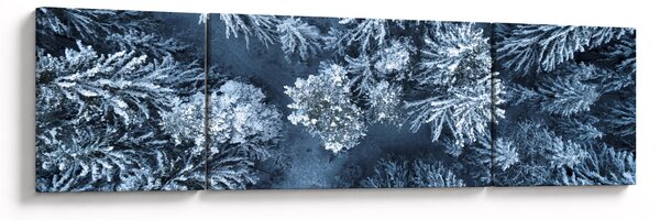 Obraz - Śnieżny las (170x50 cm)