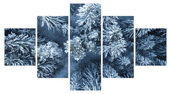 Obraz - Śnieżny las (125x70 cm)