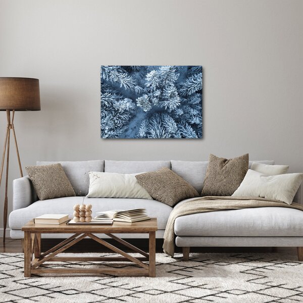 Obraz - Śnieżny las (70x50 cm)