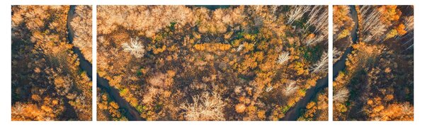 Obraz - Rzeka w kształcie serca (170x50 cm)