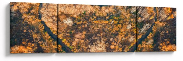 Obraz - Rzeka w kształcie serca (170x50 cm)