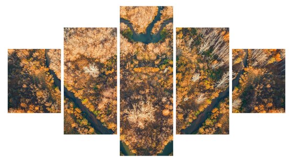 Obraz - Rzeka w kształcie serca (125x70 cm)