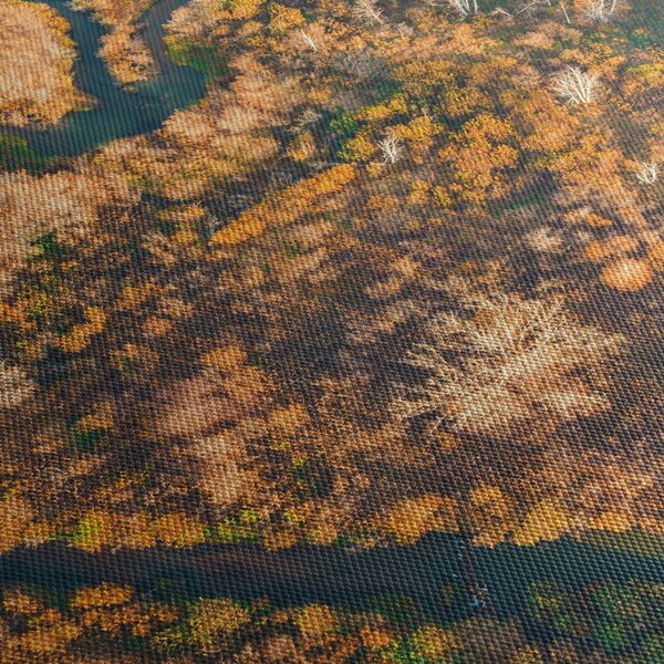 Obraz - Rzeka w kształcie serca (70x50 cm)