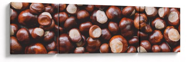 Obraz - Dojrzałe kasztany (170x50 cm)