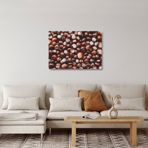 Obraz na szkle - Dojrzałe kasztany (70x50 cm)