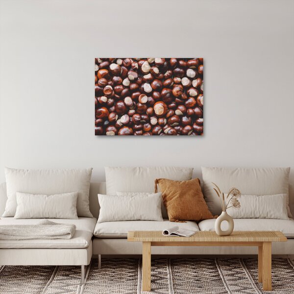 Obraz - Dojrzałe kasztany (70x50 cm)