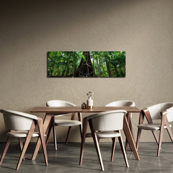 Obraz - Korzenie drzewa (z zegarem) (90x30 cm)