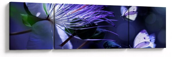 Obraz - Tropikalny kwiat (170x50 cm)