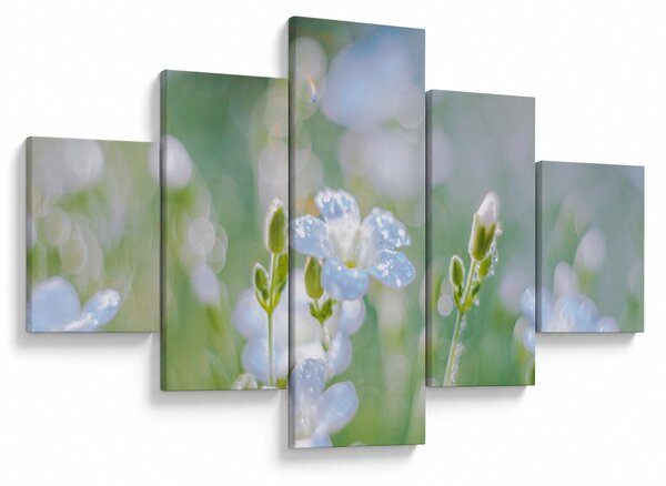 Obraz - Delikatne kwiaty (125x70 cm)
