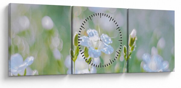 Obraz - Delikatne kwiaty (z zegarem) (90x30 cm)