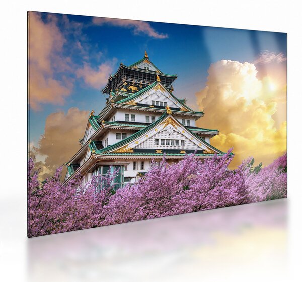 Obraz na szkle - Zamek Osaka (70x50 cm)