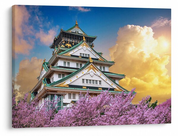 Obraz - Zamek Osaka (70x50 cm)