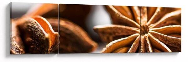 Obraz - Anyż (170x50 cm)