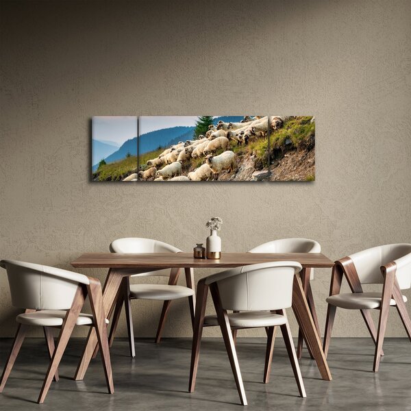 Obraz - Stado owiec (170x50 cm)