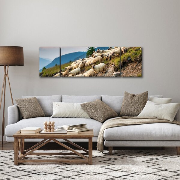 Obraz - Stado owiec (170x50 cm)